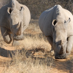 Namibia